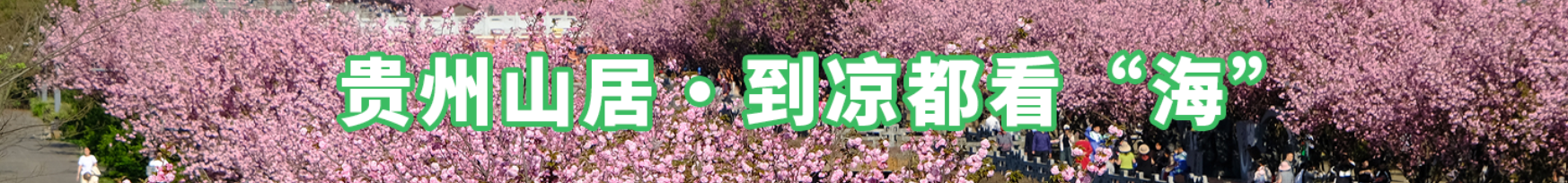  貴州山居·到?jīng)龆伎础昂！? /> 
								</a>
							</li>
							<li>
								<a href=